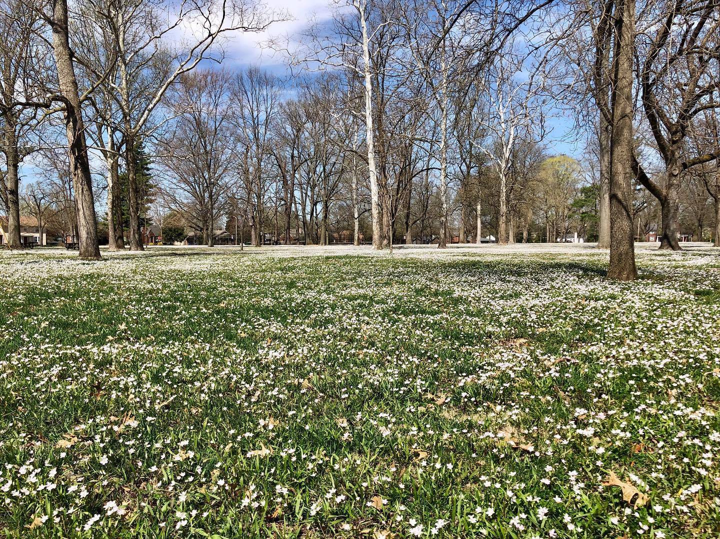 Park Rentals Columbus Parks and Rec